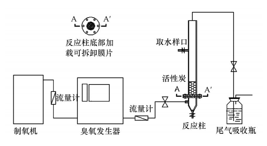 菠萝蜜视频网站入口地址+活性炭實驗方案